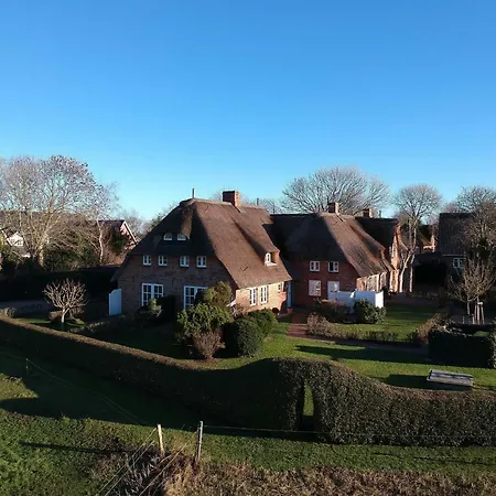 Reetkehlchen *