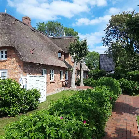 Reetkehlchen * Alkersum