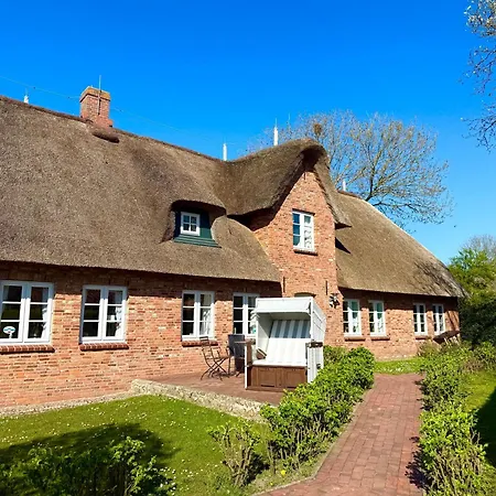 Reetkehlchen Alkersum