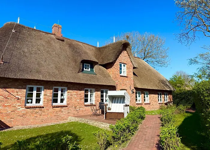 Reetkehlchen Alkersum