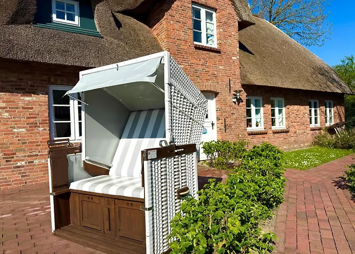 Reetkehlchen * Alkersum